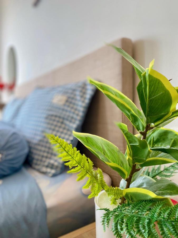 The Song Apartment Vung Tau - Boo Boo Homestay エクステリア 写真